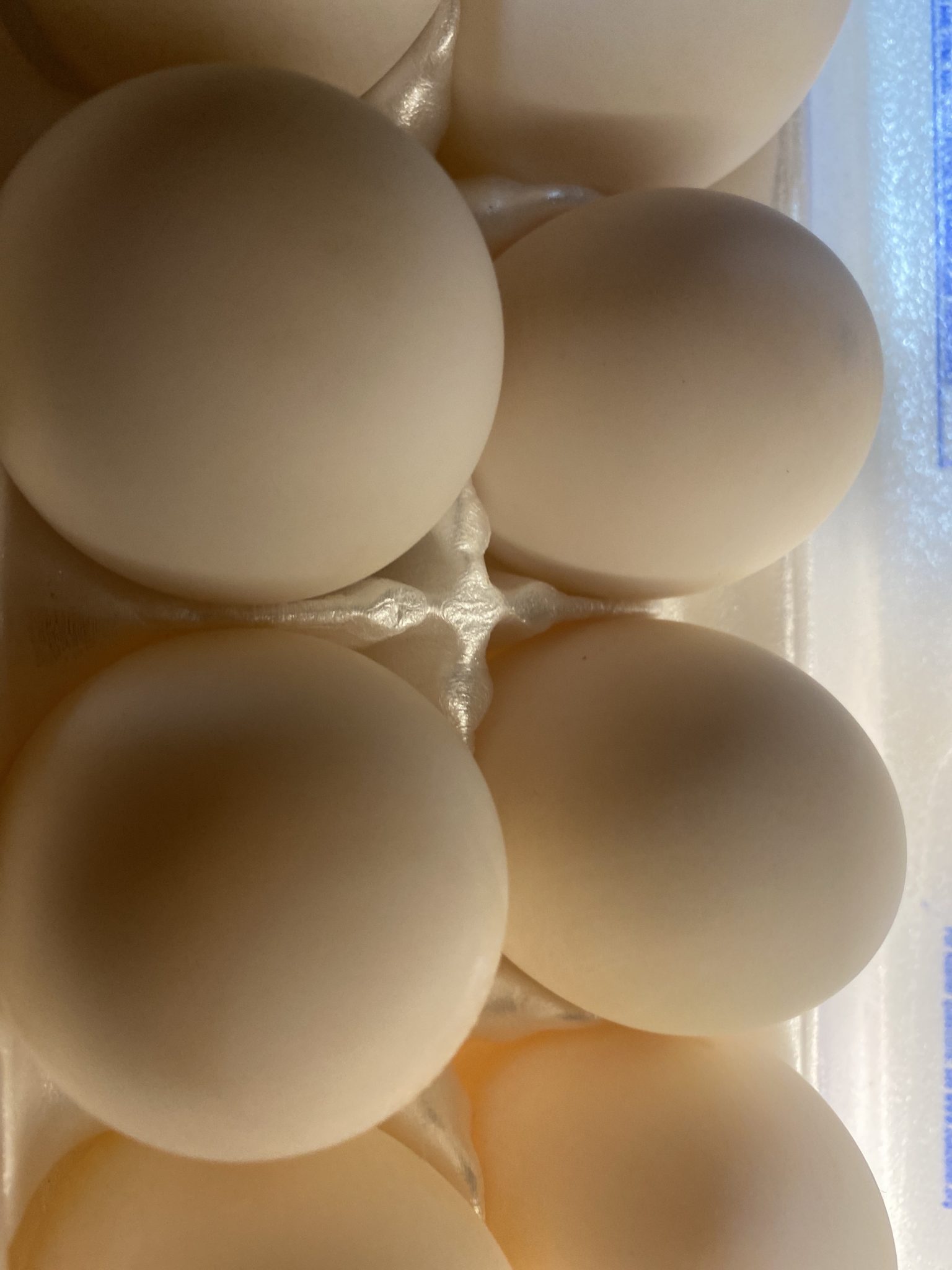 Soy Free Duck Eggs - Fox Crossing Farms Online