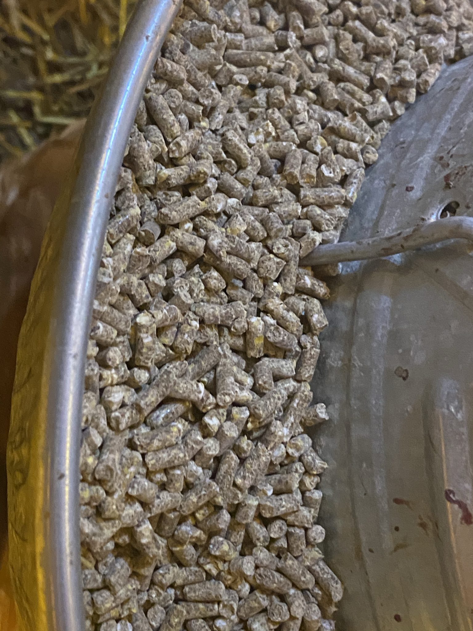 Soy Free Chicken/Duck Layer Pellet 16 (50 bags) Fox Crossing Farms